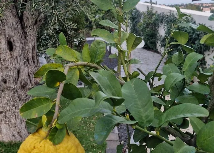 公寓 Vue Reves D'azur